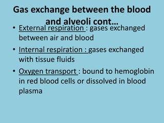 Gas exchange between the blood
and alveoli cont…
• External respiration : gases exchanged
between air and blood
• Internal respiration : gases exchanged
with tissue fluids
• Oxygen transport : bound to hemoglobin
in red blood cells or dissolved in blood
plasma
 