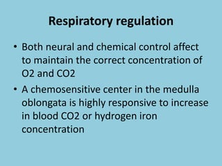 Respiratory regulation
• Both neural and chemical control affect
to maintain the correct concentration of
O2 and CO2
• A chemosensitive center in the medulla
oblongata is highly responsive to increase
in blood CO2 or hydrogen iron
concentration
 