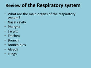 Review of the Respiratory system
• What are the main organs of the respiratory
system?
• Nasal cavity
• Pharynx
• Larynx
• Trachea
• Bronchi
• Bronchioles
• Alveoli
• Lungs
 