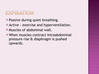Passive during quiet breathing. Active - exercise and hyperventilation. Muscles of abdominal wall. When muscles contract intraabdominal pressure rise & diaphragm is pushed upwards. 