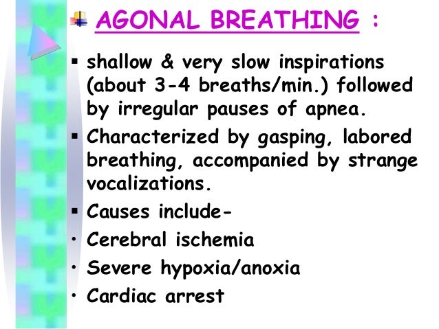 breathing patterns types of breathing patterns