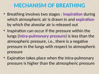 MECHANISM OF BREATHING
• Breathing involves two stages : inspiration during
which atmospheric air is drawn in and expiration
by which the alveolar air is released out
• Inspiration can occur if the pressure within the
lungs (intra-pulmonary pressure) is less than the
atmospheric pressure, i.e., there is a negative
pressure in the lungs with respect to atmospheric
pressure
• Expiration takes place when the intra-pulmonary
pressure is higher than the atmospheric pressure
 