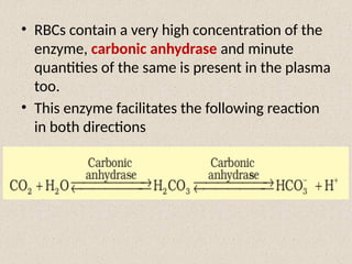 • RBCs contain a very high concentration of the
enzyme, carbonic anhydrase and minute
quantities of the same is present in the plasma
too.
• This enzyme facilitates the following reaction
in both directions
 