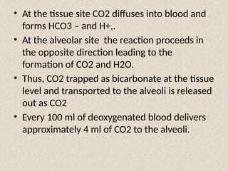 • At the tissue site CO2 diffuses into blood and
forms HCO3 – and H+,.
• At the alveolar site the reaction proceeds in
the opposite direction leading to the
formation of CO2 and H2O.
• Thus, CO2 trapped as bicarbonate at the tissue
level and transported to the alveoli is released
out as CO2
• Every 100 ml of deoxygenated blood delivers
approximately 4 ml of CO2 to the alveoli.
 