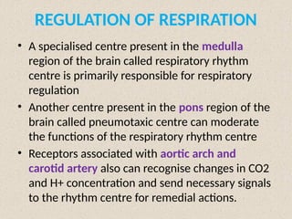 REGULATION OF RESPIRATION
• A specialised centre present in the medulla
region of the brain called respiratory rhythm
centre is primarily responsible for respiratory
regulation
• Another centre present in the pons region of the
brain called pneumotaxic centre can moderate
the functions of the respiratory rhythm centre
• Receptors associated with aortic arch and
carotid artery also can recognise changes in CO2
and H+ concentration and send necessary signals
to the rhythm centre for remedial actions.
 