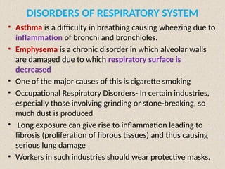 DISORDERS OF RESPIRATORY SYSTEM
• Asthma is a difficulty in breathing causing wheezing due to
inflammation of bronchi and bronchioles.
• Emphysema is a chronic disorder in which alveolar walls
are damaged due to which respiratory surface is
decreased
• One of the major causes of this is cigarette smoking
• Occupational Respiratory Disorders- In certain industries,
especially those involving grinding or stone-breaking, so
much dust is produced
• Long exposure can give rise to inflammation leading to
fibrosis (proliferation of fibrous tissues) and thus causing
serious lung damage
• Workers in such industries should wear protective masks.
 