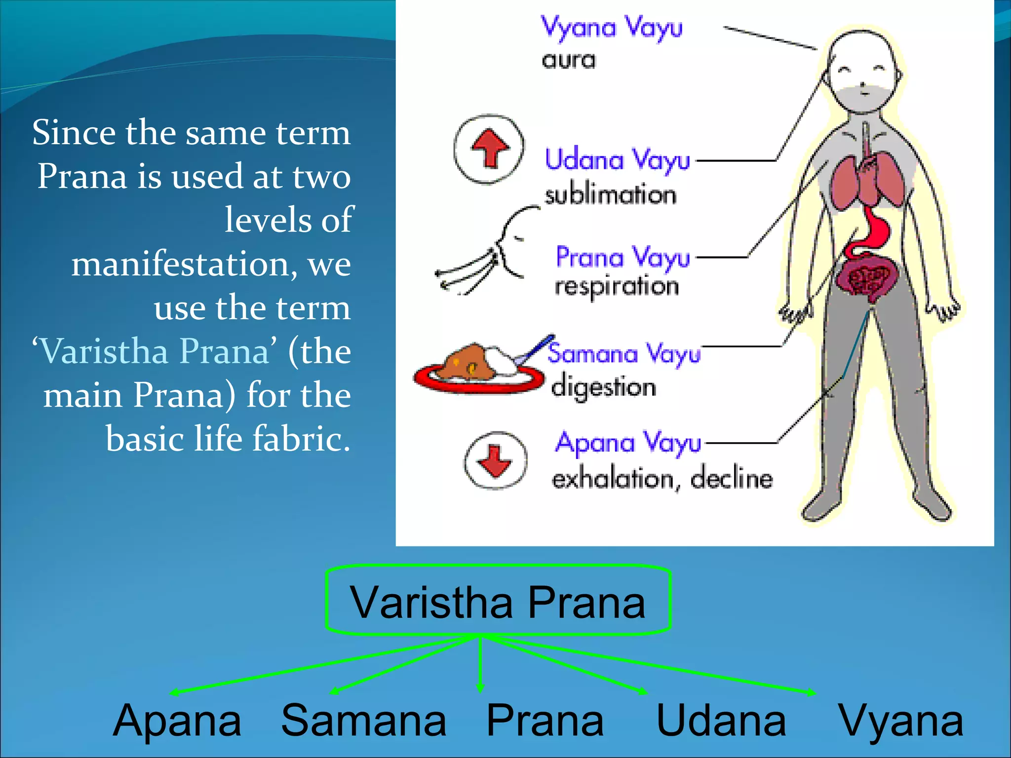 Since the same term
 Prana is used at two
              levels of
   manifestation, we
        use the term
‘Varistha Prana’ (the
 main Prana) for the
     basic life fabric.



                      Varistha Prana

     Apana Samana Prana                Udana   Vyana
 