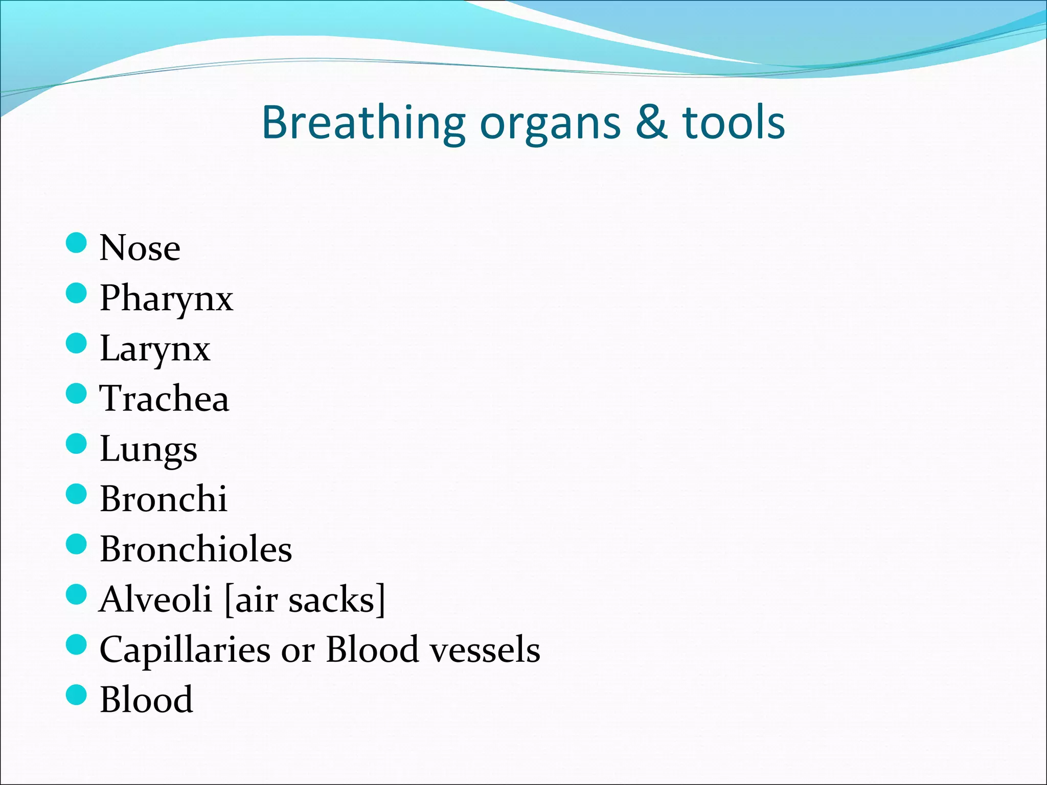 Breathing organs & tools

Nose
Pharynx
Larynx
Trachea
Lungs
Bronchi
Bronchioles
Alveoli [air sacks]
Capillaries or Blood vessels
Blood
 