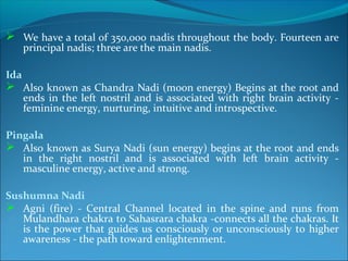 We have a total of 350,000 nadis throughout the body. Fourteen are
      principal nadis; three are the main nadis.

Ida
 Also known as Chandra Nadi (moon energy) Begins at the root and
      ends in the left nostril and is associated with right brain activity -
      feminine energy, nurturing, intuitive and introspective.

Pingala
 Also known as Surya Nadi (sun energy) begins at the root and ends
   in the right nostril and is associated with left brain activity -
   masculine energy, active and strong.

Sushumna Nadi
 Agni (fire) - Central Channel located in the spine and runs from
   Mulandhara chakra to Sahasrara chakra -connects all the chakras. It
   is the power that guides us consciously or unconsciously to higher
   awareness - the path toward enlightenment.
 