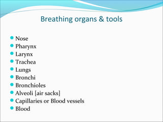 Breathing organs & tools

Nose
Pharynx
Larynx
Trachea
Lungs
Bronchi
Bronchioles
Alveoli [air sacks]
Capillaries or Blood vessels
Blood
 