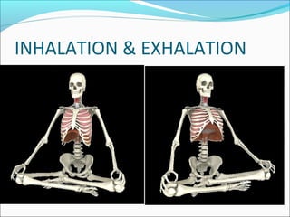 INHALATION & EXHALATION
 