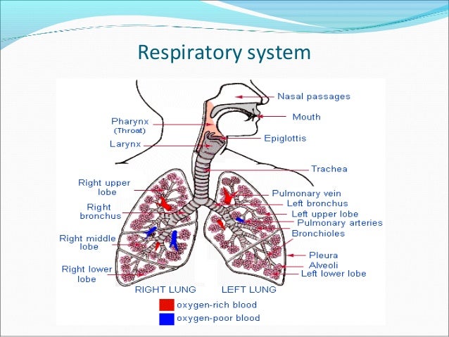 Breathing practices1