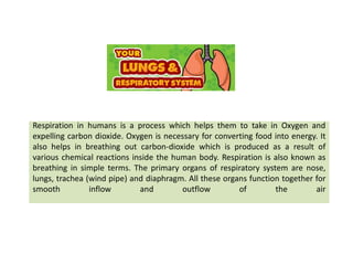 Respiration in humans is a process which helps them to take in Oxygen and
expelling carbon dioxide. Oxygen is necessary for converting food into energy. It
also helps in breathing out carbon-dioxide which is produced as a result of
various chemical reactions inside the human body. Respiration is also known as
breathing in simple terms. The primary organs of respiratory system are nose,
lungs, trachea (wind pipe) and diaphragm. All these organs function together for
smooth inflow and outflow of the air
 