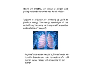 When we breathe, we taking in oxygen and
giving out carbon dioxide and water vapour
‘Oxygen is required for breaking up food to
produce energy. The energy needed for all the
activities of the body such as growth, excretion
and building of new cells
To proof that water vapour is formed when we
breathe, breathe out onto the surface of a cold
mirror, water vapour will be formed on the
mirror
 