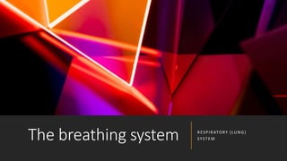 The breathing system RESPIRATORY (LUNG)
SYSTEM
 