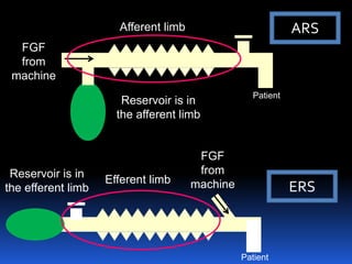 v
FGF
from
machine v
FGF
from
machine
Reservoir is in
the afferent limb
Reservoir is in
the efferent limb
Efferent limb
Afferent limb ARS
ERS
Patient
Patient
 