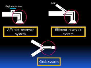 Afferent reservoir
system
Efferent reservoir
system
Circle system
FGF
Expiratory valve
 