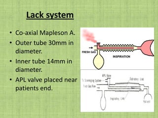 Spontaneous Breathing3 phases identified InspiratoryExpiratoryExpiratory Pause.