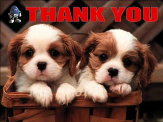 Disadvantagesrequire high gas flows, higher costs, increased atmospheric pollution.2) optimal fresh gas flow may be difficult to determine. Necessary to change fresh gas flows when changing from spontaneous to controlled mode.3) anything that causes decreased fresh gas flow can produce dangerous rebreathing