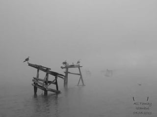 ⎝⏠⏝⏠⎠ Ali Tamay Istanbul 05.05.2011 