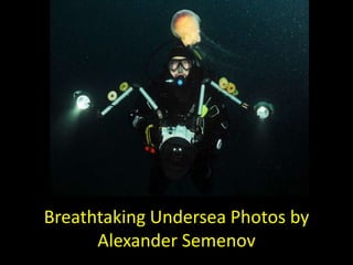 Breathtaking Undersea Photos by
      Alexander Semenov
 