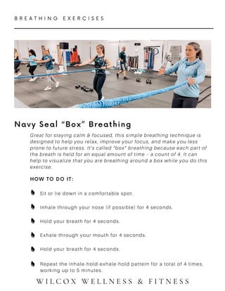 Breathwork & Mindful Breathing | PDF