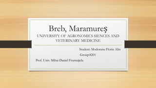 Breb, Maramureș
UNIVERSITY OF AGRONOMICS SIENCES AND
VETERINARY MEDICINE
Student: Modoranu Florin Alin
Group:8201
Prof. Univ. Mihai-Daniel Frumușelu
 