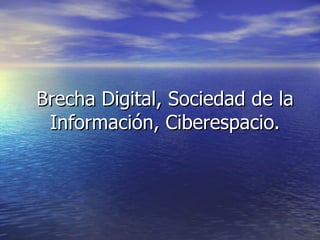 Brecha Digital, Sociedad de la Información, Ciberespacio. 