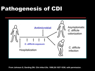 Pathogenesis of CDI Asymptomatic  C. difficile  colonization C. difficile  exposure Antimicrobial C. difficile  infection Hospitalization From Johnson S, Gerding DN.  Clin Infect Dis.  1998;26:1027-1036; with permission. 