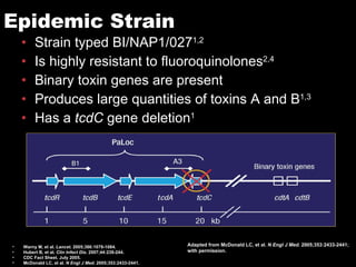 Epidemic Strain Strain typed BI/NAP1/027 1,2 Is highly resistant to fluoroquinolones 2,4 Binary toxin genes are present Produces large quantities of toxins A and B 1,3 Has a  tcdC  gene deletion 1 Warny M, et al.  Lancet . 2005;366:1079-1084. Hubert B, et al.  Clin Infect Dis . 2007;44:238-244. CDC Fact Sheet. July 2005.  McDonald LC, et al.  N Engl J Med . 2005;353:2433-2441. Adapted from McDonald LC, et al.  N Engl J Med.  2005;353:2433-2441; with permission. 