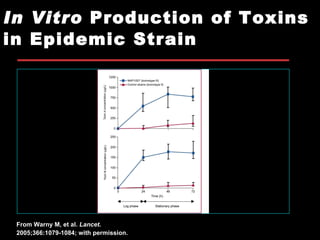 In Vitro  Production of Toxins  in Epidemic Strain From Warny M, et al.  Lancet .  2005;366:1079-1084; with permission.   