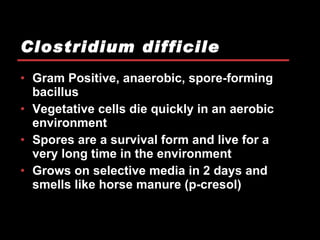 Clostridium difficile Gram Positive, anaerobic, spore-forming bacillus Vegetative cells die quickly in an aerobic environment Spores are a survival form and live for a very long time in the environment Grows on selective media in 2 days and smells like horse manure (p-cresol) 