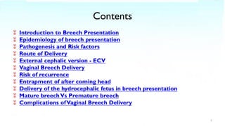 Breech 2021 | PDF