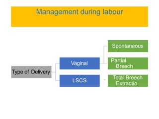 Lscs Labour breech-presentation.pdfghghvghjhhhhhhhhh | PDF