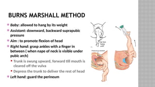 BURNS MARSHALL METHOD
 Baby: allowed to hang by its weight
 Assistant: downward, backward suprapubic
pressure
 Aim : to promote flexion of head
 Right hand: grasp ankles with a finger in
between ( when nape of neck is visible under
pubic arch)
 Trunk is swung upward, forward till mouth is
cleared off the vulva
 Depress the trunk to deliver the rest of head
 Left hand: guard the perineum
 