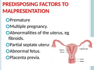 PREDISPOSING FACTORS TO
MALPRESENTATION
🞆Premature
🞆Multiple pregnancy.
🞆Abnormalities of the uterus, eg
fibroids.
🞆Partial septate uterus.
🞆Abnormal fetus.
🞆Placenta previa.
16
 