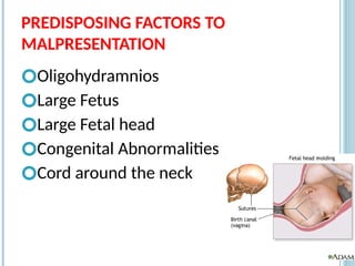 PREDISPOSING FACTORS TO
MALPRESENTATION
🞆Oligohydramnios
🞆Large Fetus
🞆Large Fetal head
🞆Congenital Abnormalities
🞆Cord around the neck
17
 
