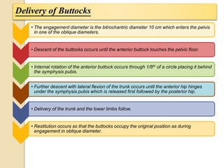 Delivery of Buttocks 
• The engagement diameter is the bitrochantric diameter 10 cm which enters the pelvis 
in one of the oblique diameters. 
• Descent of the buttocks occurs until the anterior buttock touches the pelvic floor. 
• Internal rotation of the anterior buttock occurs through 1/8th of a circle placing it behind 
the symphysis pubis. 
• Further descent with lateral flexion of the trunk occurs until the anterior hip hinges 
under the symphysis pubis which is released first followed by the posterior hip. 
• Delivery of the trunk and the lower limbs follow. 
• Restitution occurs so that the buttocks occupy the original position as during 
engagement in oblique diameter. 
 