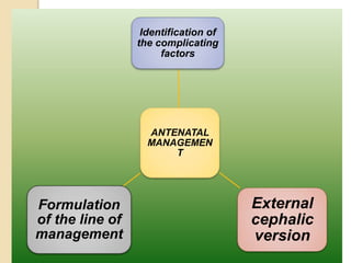 Identification of 
the complicating 
factors 
ANTENATAL 
MANAGEMEN 
T 
External 
cephalic 
version 
Formulation 
of the line of 
management 
 