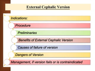 External Cephalic Version 
Indications: 
Procedure 
Preliminaries 
Benefits of External Cephalic Version 
Causes of failure of version 
Dangers of Version 
Management, if version fails or is contraindicated 
 