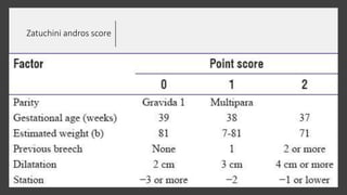 Zatuchini andros score
 