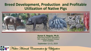 Breed Development, Production and Profitable
Utilization of Native Pigs
September 12-13, 2019
Synan S. Baguio, Ph.D.
Supervising Research Specialist &
OIC, Livestock Research Division
DOST-PCAARRD
1
 