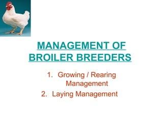 Breeder Management different aspects, challenges.ppt