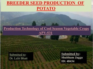 BREEDER SEED PRODUCTION OF
POTATO
Production Technology of Cool Season Vegetable Crops
APV-531
Submitted to:
Dr. Lalit Bhatt
Submitted by:
Shubham Jagga
ID: 48434
 