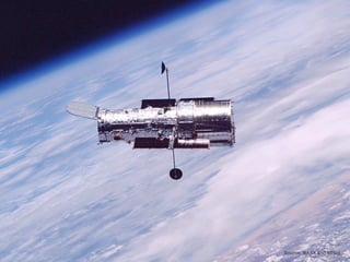 Breeding Success Through Openness