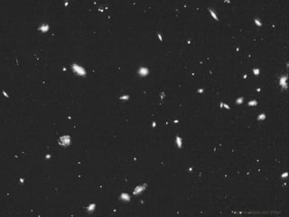 Breeding Success Through Openness