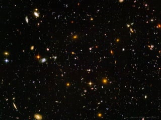 Breeding Success Through Openness