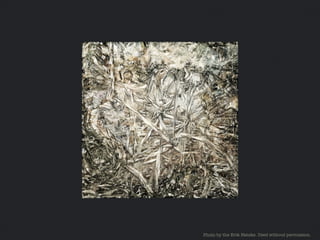 Breeding Success Through Openness