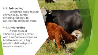 Science and art of breeding systems ok ok | PPTX