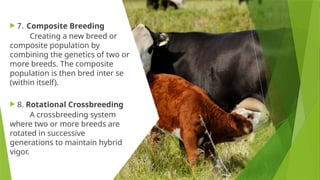 Brooding Systemsd Science and art of breeding systems ok ok | PPTX
